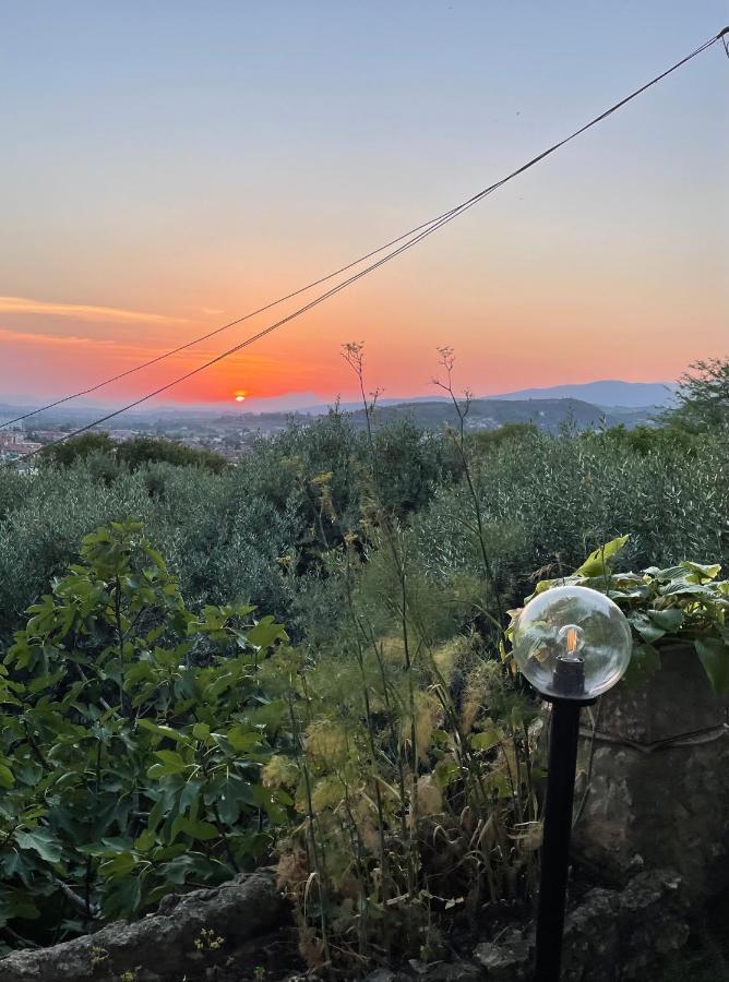 Green Leaves Βερόνα Εξωτερικό φωτογραφία